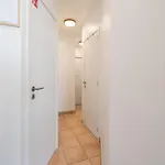 Flat In Knokke With Pier And Sea Views * Blankenberge